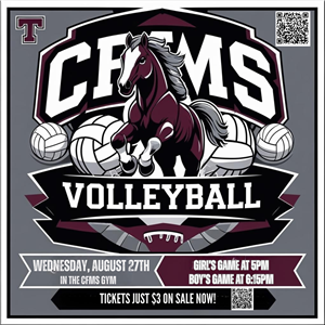 VOLLEYBALL GAME 1